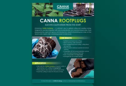 CANNA Rootplugs leaflet
